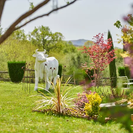 Bed & Breakfast Ferme Elhorga 4*