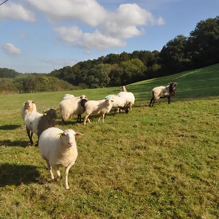 Ferme Elhorga 4* Saint-Pee-sur-Nivelle